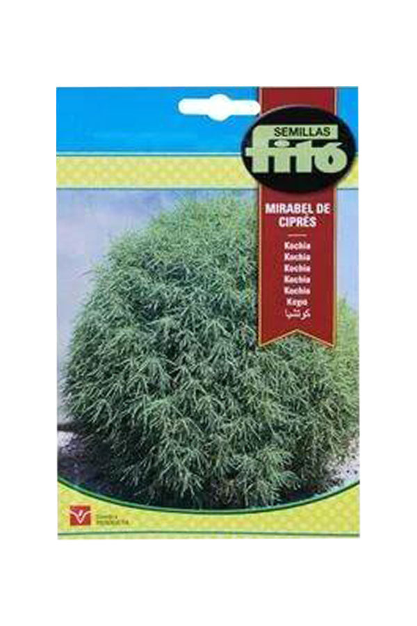 Fito-Semilla Seeds - Mirabel De Cipres