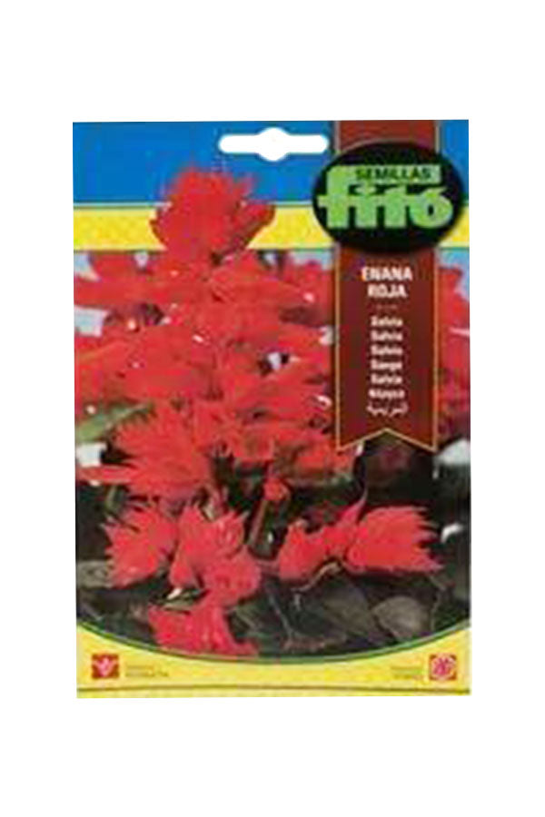 Fito Semilla Seeds - Enana Roja (2 g) for growing vibrant dwarf red plants. Premium quality seeds at Plantsworld.ae.
