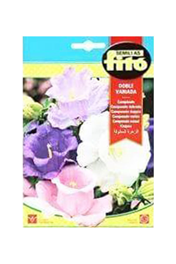 Fito - Semillas Campanula Bellflower Mixed Seed - Premium Bellflower Seeds for UAE Gardens
