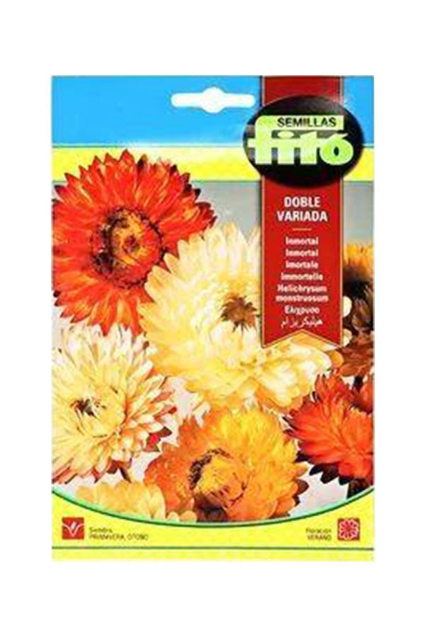 Fito - Semillas Helichrysum Monstruosum Double Mixed (3 g) seeds for everlasting flowers available at Plantsworld.ae