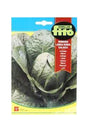 Fito - Semillas Lettuce Romana Larga Rubia Galacia (8 gm) seeds for fresh, crisp lettuce available at Plantsworld.ae