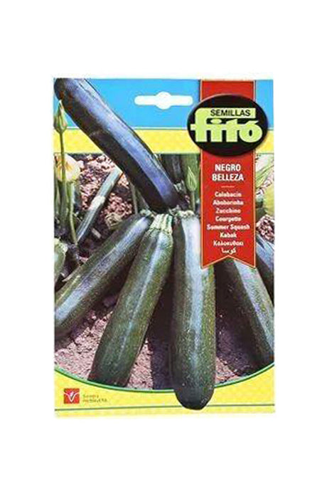 Fito - Summer Squash Negro Belleza (10 gm) seeds for fresh, healthy squash available at Plantsworld.ae