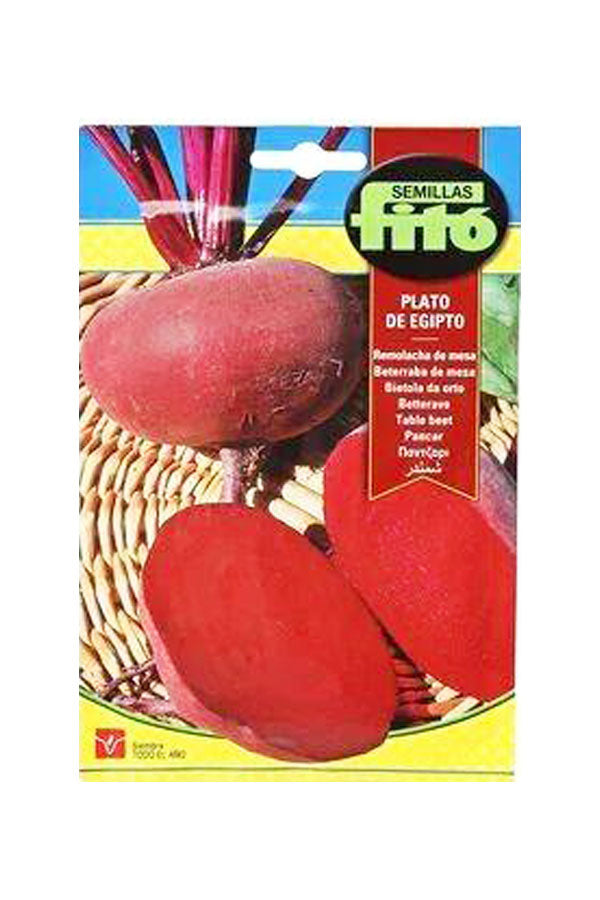 Fito - Table Beet Plato De Egipto (13 g) seeds for fresh, nutritious beets available at Plantsworld.ae