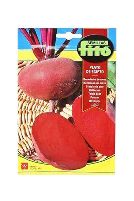 Fito - Table Beet Plato De Egipto (13 g) seeds for fresh, nutritious beets available at Plantsworld.ae