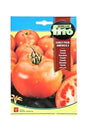 Fito - Tomato Early Pack America (3 g) seeds for fresh, home-grown tomatoes available at Plantsworld.ae
