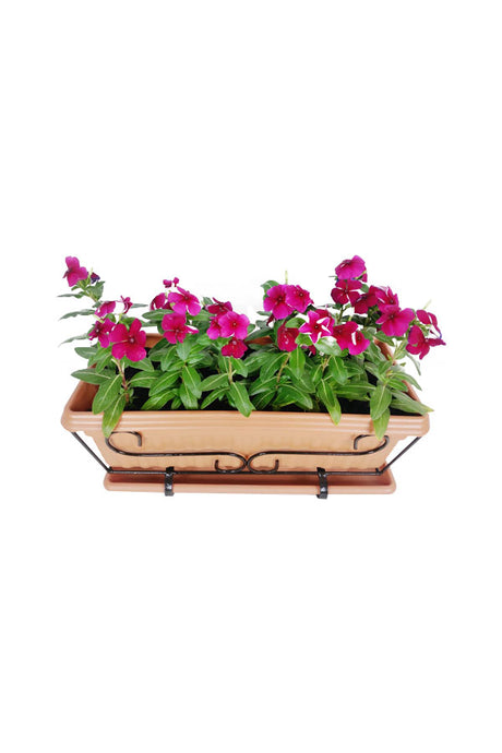 Vinca Flowering Plant in Rectangular Pot – Outdoor & Indoor Decor