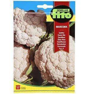 Fito Cauliflower Maresma (4 g) seeds for growing high-quality cauliflower, available at Plantsworld.ae