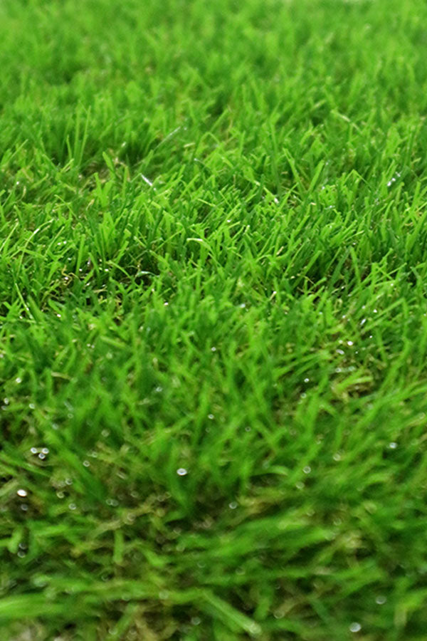Artificial Grass K 36 (36 mm) synthetic turf for outdoor and indoor spaces - Plantsworld.ae