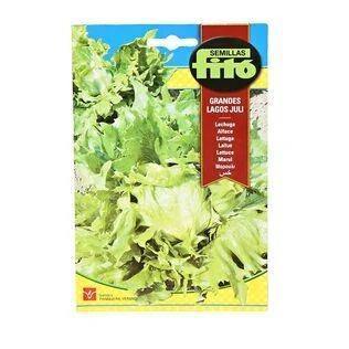 Lettuce Grandes Lagos California Seeds - Premium Lettuce Seeds for UAE