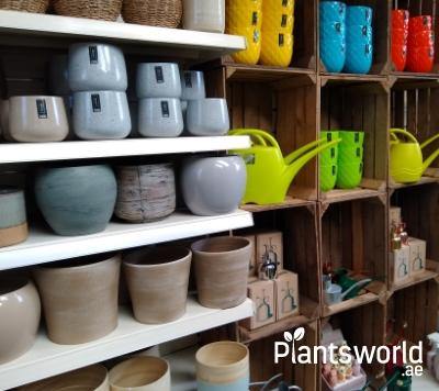 Pots & Accessories - Plantsworld.ae