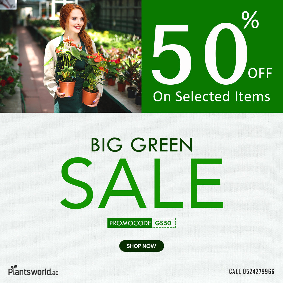 Offer sale,Get Upto 50% Off On Selected Plants