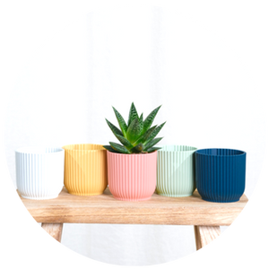 Ceramic Planters