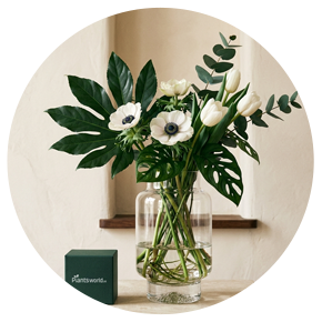 Flower Vases - Plantsworld.ae
