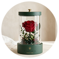 Forever Roses