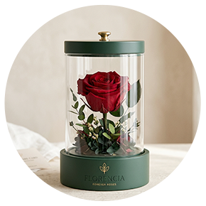 Forever Roses - Plantsworld.ae