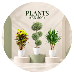 Luxury Greenery