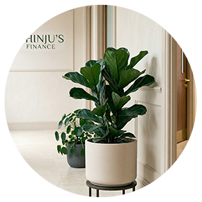 Office Plants