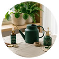 Plant Care