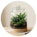 Hampers & Terrarium