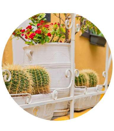 Balcony Railing Planters