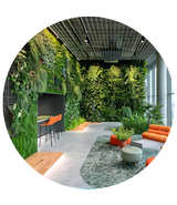 Verticle Garden & Moss Wall