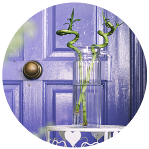 Water Plants