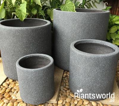 GRP Pots - Plantsworld.ae