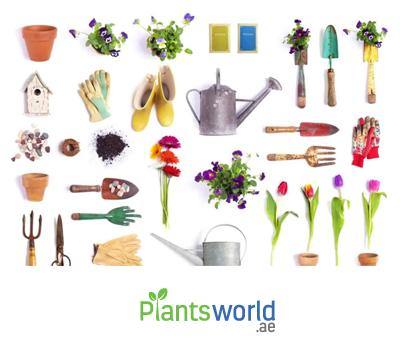 Plant Accessories - Plantsworld.ae