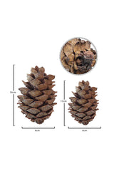Natural Christmas Pine Cones