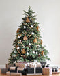Nordmann fir Christmas tree