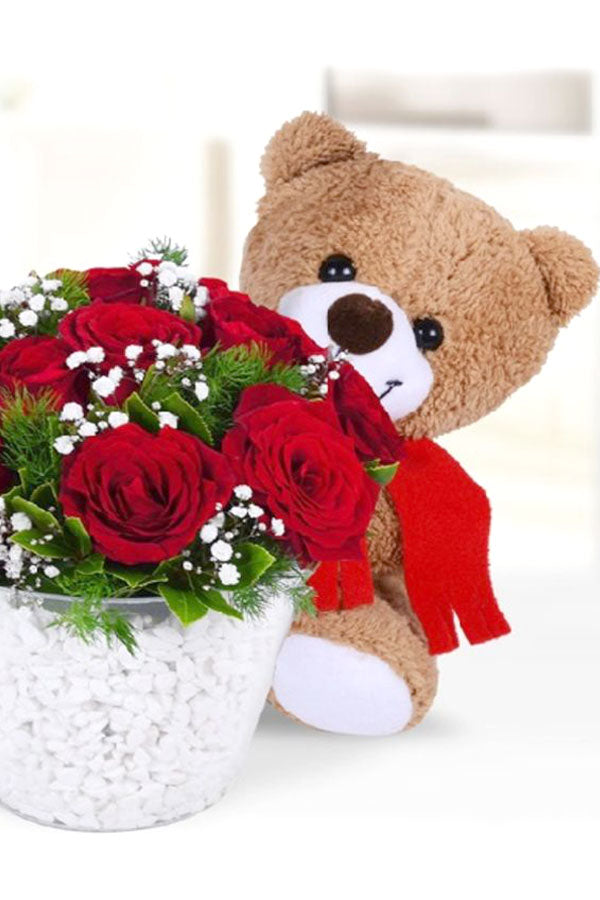 Rote Rose mit Teddy