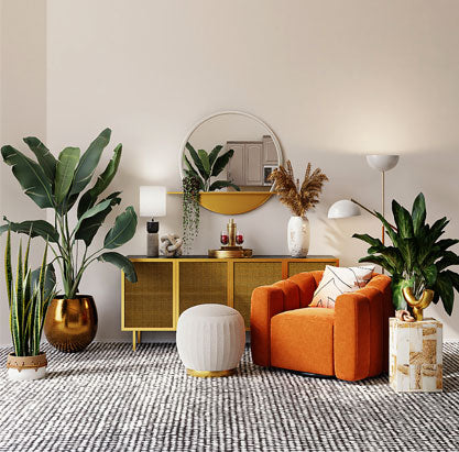 Indoor space decorated with beautiful plants
