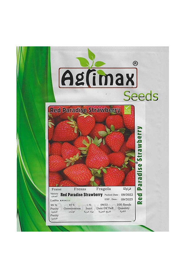 strawberry seeds price in india Red Paradise Strawberry Premium Quality Seeds