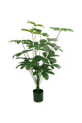 Artificial Plant - Schefflera Arboricola