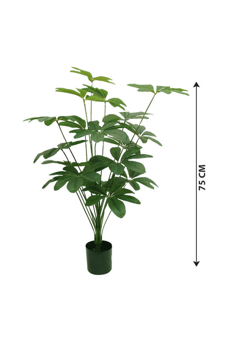 Artificial Plant - Schefflera Arboricola