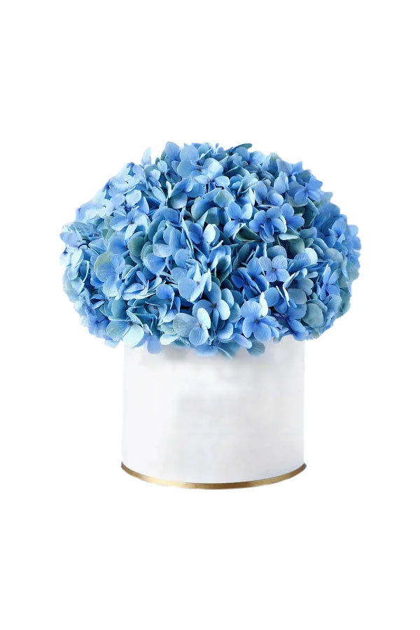 Blauer Hortensien-Blumenkasten