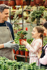 Book a Plant Care Site Visit – Expert on-site plant maintenance and care service in the UAE
