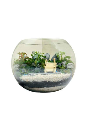 Botanic Beauty Terrarium Glass Planter for home decor and indoor plants
