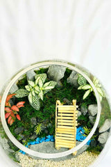 Botanic Beauty - Terrarium