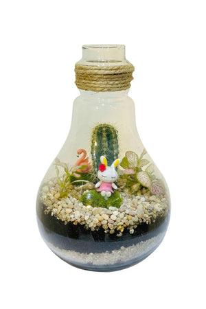 Botanical Bowl Beauties Terrarium Glass Planter for small plants and home decor
