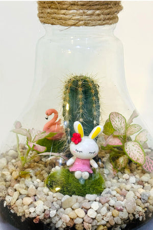 Botanical Bowl Beauties - Terrarium