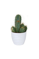 Kaktus-Pflanztopf aus weißer Keramik