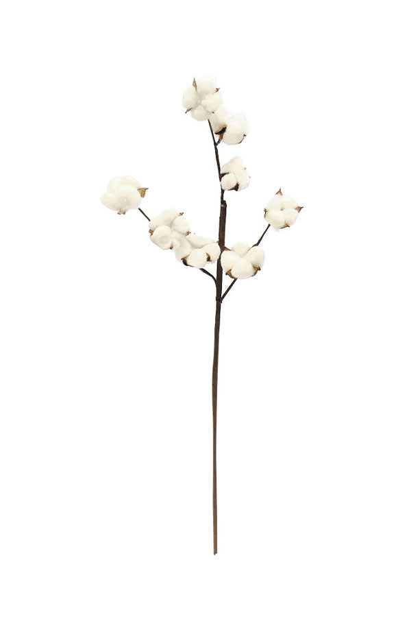 Versatile Dried Cotton White Stems