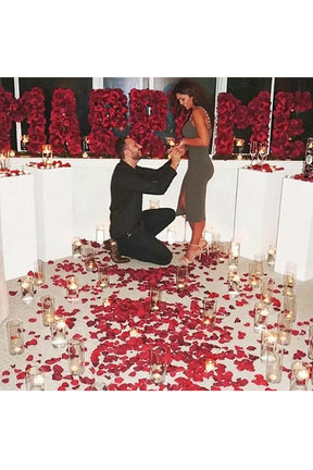 Enchanting Grand Proposal (Will You Marry Me) Decor - Romantic and Elegant Proposal Decorations

