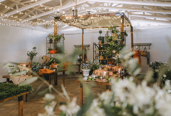 A indoor space filled with plants and decorations 