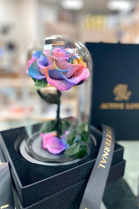 Single preserved rainbow rose in elegant gift box – forever rose gift UAE