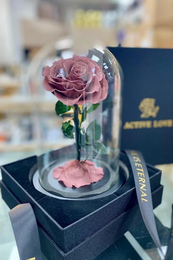 Single caramel pink forever rose in glass dome with gift box