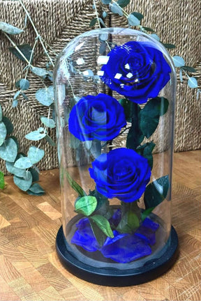 Graceful Forever Blue Roses (3 Flowers) – Preserved Elegance at PlantsWorld UAE