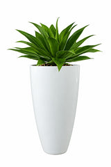 GRP Round Tall - Indoor Plant Pot