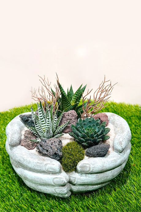 Succulent Arrangment In Hand Pot